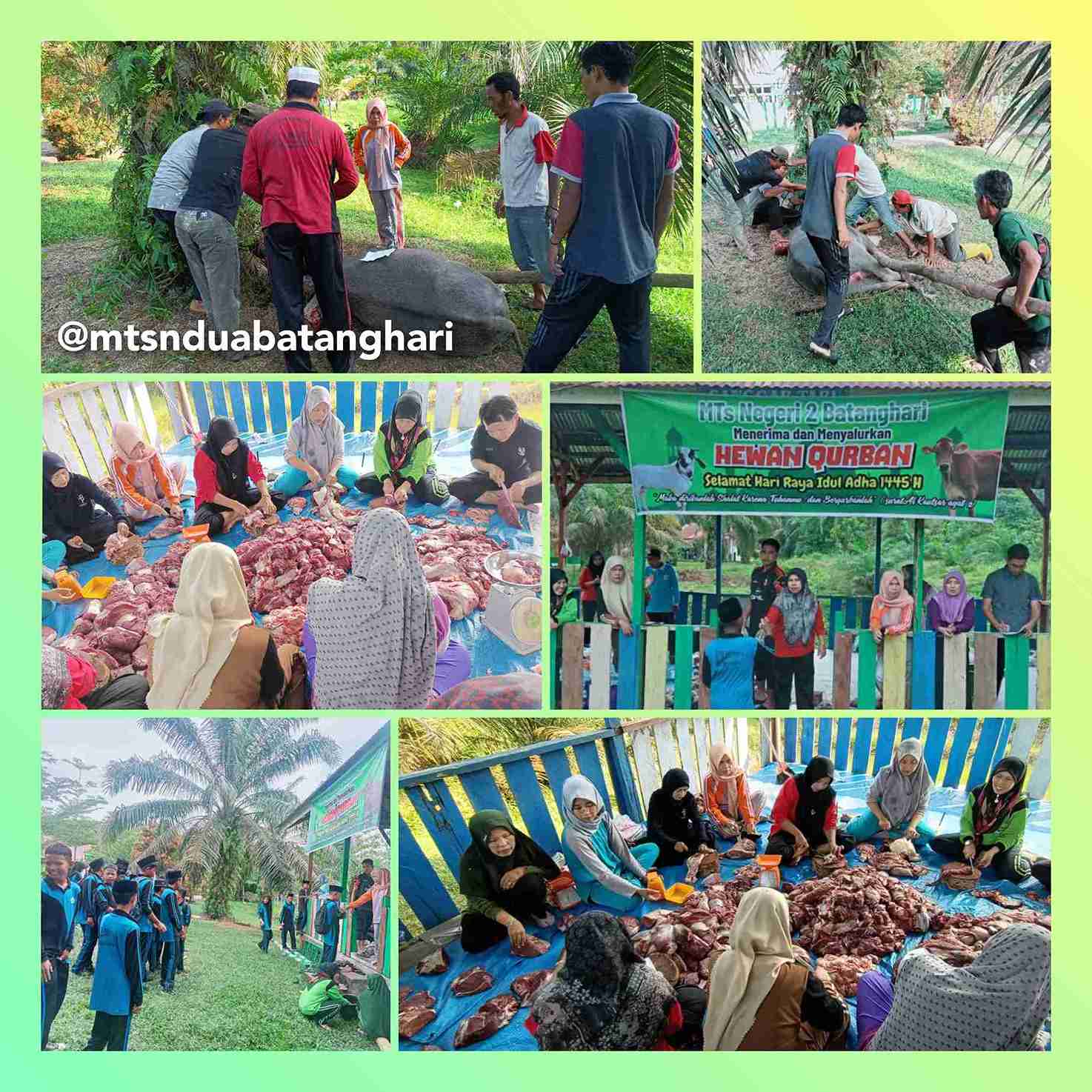 Wujud Kepedulian Sosial, MTsN 2 Batanghari Bagikan Daging Kurban